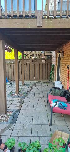 Walk-out Basement for rent - Photo 3