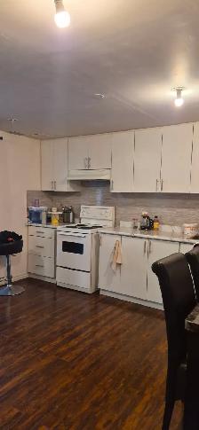 Walk-out Basement for rent - Photo 6