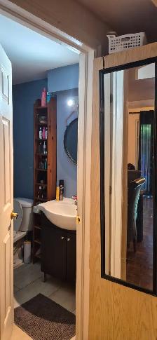 Walk-out Basement for rent - Photo 8