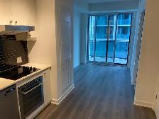 1bdrm   1 bath Condo @ Bathurst & Niagara St available Aug 1 - Photo 3