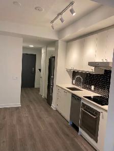 1bdrm   1 bath Condo @ Bathurst & Niagara St available Aug 1 - Photo 9