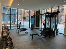 1bdrm   1 bath Condo @ Bathurst & Niagara St available Aug 1 - Photo 10