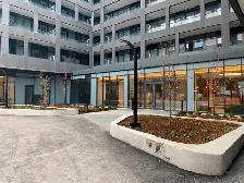 1bdrm   1 bath Condo @ Bathurst & Niagara St available Aug 1 - Photo 19