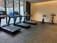 1bdrm   1 bath Condo @ Bathurst & Niagara St available Aug 1 - Photo 20