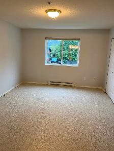 Bright 2 bedroom Corner Condo in Quiet Adult Oriented Building - Photo 4