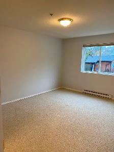 Bright 2 bedroom Corner Condo in Quiet Adult Oriented Building - Photo 5