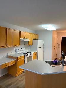 Bright 2 bedroom Corner Condo in Quiet Adult Oriented Building - Photo 7