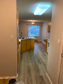 Bright 2 bedroom Corner Condo in Quiet Adult Oriented Building - Photo 8