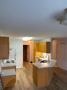 Bright 2 bedroom Corner Condo in Quiet Adult Oriented Building - Photo 10