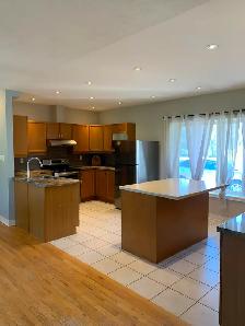 For Rent - Spacious Brick Bungalow | Mount Albert | $3,300/month - Photo 2