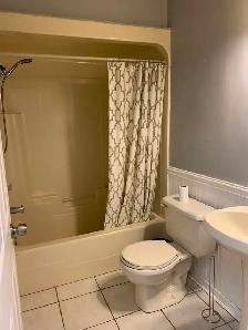 For Rent - Spacious Brick Bungalow | Mount Albert | $3,300/month - Photo 8