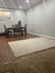 Beautiful Basement Suite in Auburn Bay- AVAILABLE NOW - Photo 2
