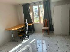 Studio Near Centennial and UTSC Immediately Available