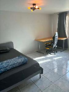 Studio Near Centennial and UTSC Immediately Available - Photo 2