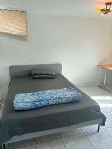 Studio Near Centennial and UTSC Immediately Available - Photo 4