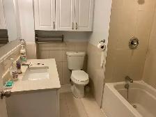 Studio Near Centennial and UTSC Immediately Available - Photo 9