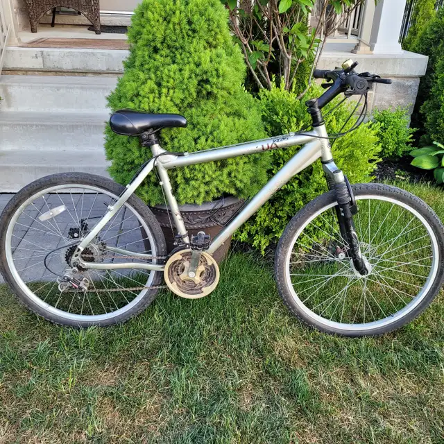 Miele Urban Assault mountain bike with disc brakes
