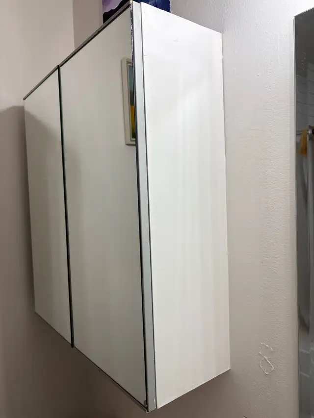 Large Medicine Cabinet