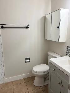 Large Medicine Cabinet - Photo 4