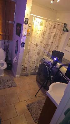 Chambre à louer en partage - Photo 6