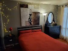 Condo for rent - 633 Bay Street - Bedroom and Solarium - Photo 3