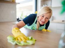 Experienced House Cleaners Wanted — Contract Work in Hamilton
