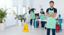 Experienced House Cleaners Wanted — Contract Work in Hamilton - Photo 3