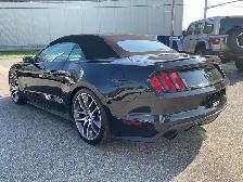 2017 Ford Mustang GT Convertible - LEATHER! NAV! BACK-UP CAM! BS - Photo 13