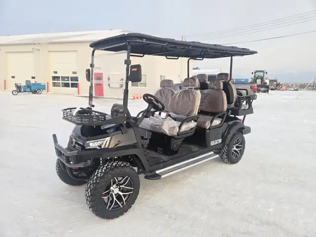 SDLANCH White Electric Golf Cart SDLGC100