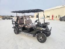 SDLANCH White Electric Golf Cart SDLGC100 - Photo 2