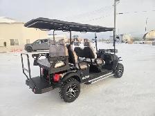 SDLANCH White Electric Golf Cart SDLGC100 - Photo 3