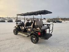 SDLANCH White Electric Golf Cart SDLGC100 - Photo 4