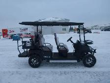 SDLANCH White Electric Golf Cart SDLGC100 - Photo 6