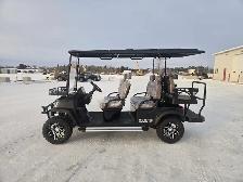 SDLANCH White Electric Golf Cart SDLGC100 - Photo 7