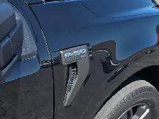 2023 Ford F-150 XL 4WD SuperCrew 6.5' Box LOW KMS - Photo 11
