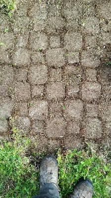 FREE PAVING STONES KEYSTONES TODAY