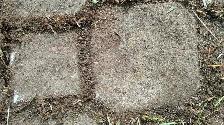 FREE PAVING STONES KEYSTONES TODAY - Photo 2