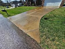 pressure wash / soft wash specialists - Photo 5