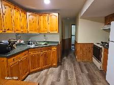 Cute 1 bedroom Basement Suite in Steinbach