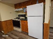 Cute 1 bedroom Basement Suite in Steinbach - Photo 2