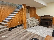 Cute 1 bedroom Basement Suite in Steinbach - Photo 3