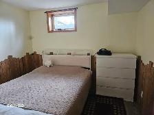 Cute 1 bedroom Basement Suite in Steinbach - Photo 4