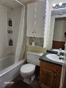 Cute 1 bedroom Basement Suite in Steinbach - Photo 5