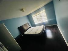 Room for rent - Photo 3