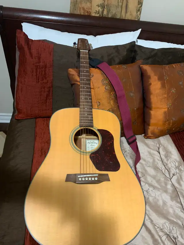 Guitar acoustic c/w padded case $175