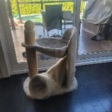 Chattons adorables avec arbre a chat a donner - Photo 7