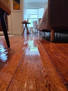 Arenas Clean Services - Photo 2