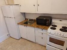 1 Bedroom Sandy Hill Apartment for Rent (508 Besserer St) - Photo 11