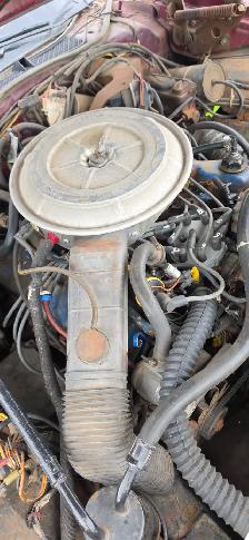 1978 Thunderbird 2 Door - Photo 3