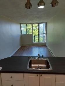 2 Bedroom ALL-INCLUSIVE Lowertown Apartment for Rent 198 Boteler - Photo 3